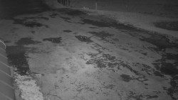 Nástup na běžecké tratě