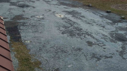 Nástup na běžecké tratě