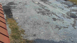 Nástup na běžecké tratě