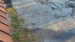 Nástup na běžecké tratě