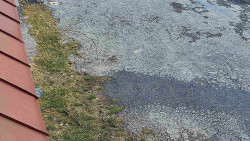 Nástup na běžecké tratě