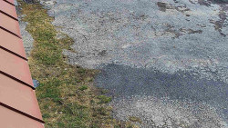 Nástup na běžecké tratě