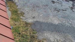 Nástup na běžecké tratě