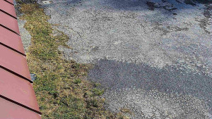 SkiAreál - Horský hotel Vsacký Cáb - Nástup na běžecké tratě - 22.3.2026 v 08:45 SkiAreál - Horský hotel Vsacký Cáb - Nástup na běžecké tratě - 22.3.2026 v 08:45