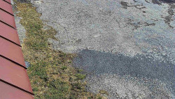 Nástup na běžecké tratě