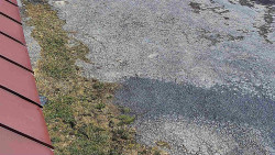 Nástup na běžecké tratě