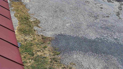 Nástup na běžecké tratě