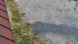 Nástup na běžecké tratě