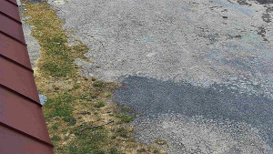 SkiAreál - Horský hotel Vsacký Cáb - Nástup na běžecké tratě - 22.3.2026 v 11:46 SkiAreál - Horský hotel Vsacký Cáb - Nástup na běžecké tratě - 22.3.2026 v 11:46