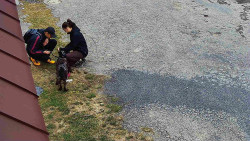 Nástup na běžecké tratě