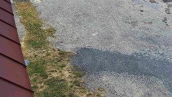 Nástup na běžecké tratě