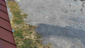 SkiAreál - Horský hotel Vsacký Cáb - Nástup na běžecké tratě - 22.3.2026 v 13:45 SkiAreál - Horský hotel Vsacký Cáb - Nástup na běžecké tratě - 22.3.2026 v 13:45