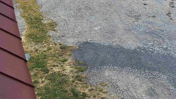 Nástup na běžecké tratě