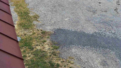 Nástup na běžecké tratě