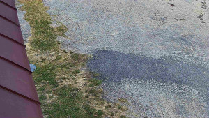 SkiAreál - Horský hotel Vsacký Cáb - Nástup na běžecké tratě - 22.3.2026 v 15:46 SkiAreál - Horský hotel Vsacký Cáb - Nástup na běžecké tratě - 22.3.2026 v 15:46