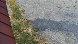 Nástup na běžecké tratě