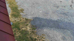 Nástup na běžecké tratě