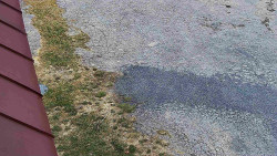 Nástup na běžecké tratě