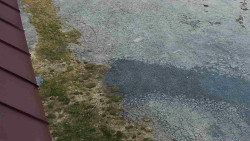 Nástup na běžecké tratě