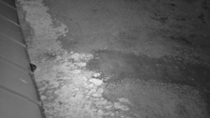 SkiAreál - Horský hotel Vsacký Cáb - Nástup na běžecké tratě - 22.3.2026 v 18:45 SkiAreál - Horský hotel Vsacký Cáb - Nástup na běžecké tratě - 22.3.2026 v 18:45