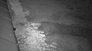 SkiAreál - Horský hotel Vsacký Cáb - Nástup na běžecké tratě - 22.3.2026 v 23:30 SkiAreál - Horský hotel Vsacký Cáb - Nástup na běžecké tratě - 22.3.2026 v 23:30