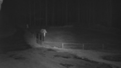 Nástup na běžecké tratě