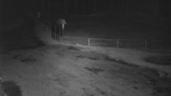 Nástup na běžecké tratě