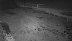 Nástup na běžecké tratě