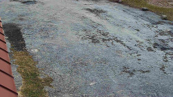 Nástup na běžecké tratě