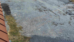 Nástup na běžecké tratě