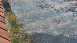 Nástup na běžecké tratě