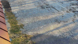 Nástup na běžecké tratě