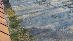 Nástup na běžecké tratě