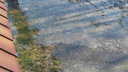 Nástup na běžecké tratě