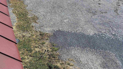 Nástup na běžecké tratě