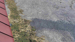 Nástup na běžecké tratě