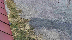 Nástup na běžecké tratě