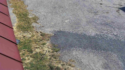 Nástup na běžecké tratě