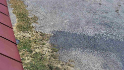 Nástup na běžecké tratě