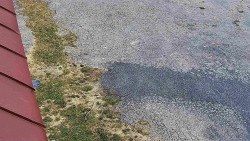 Nástup na běžecké tratě