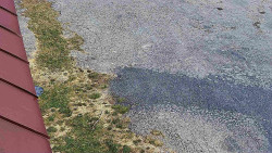 Nástup na běžecké tratě