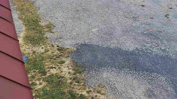 Nástup na běžecké tratě