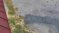 Nástup na běžecké tratě