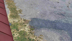 Nástup na běžecké tratě