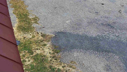 Nástup na běžecké tratě