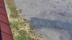 Nástup na běžecké tratě