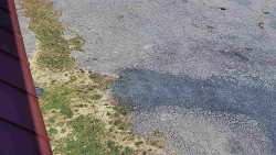 Nástup na běžecké tratě