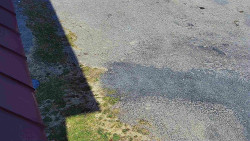 Nástup na běžecké tratě