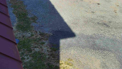 Nástup na běžecké tratě