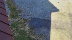 Nástup na běžecké tratě